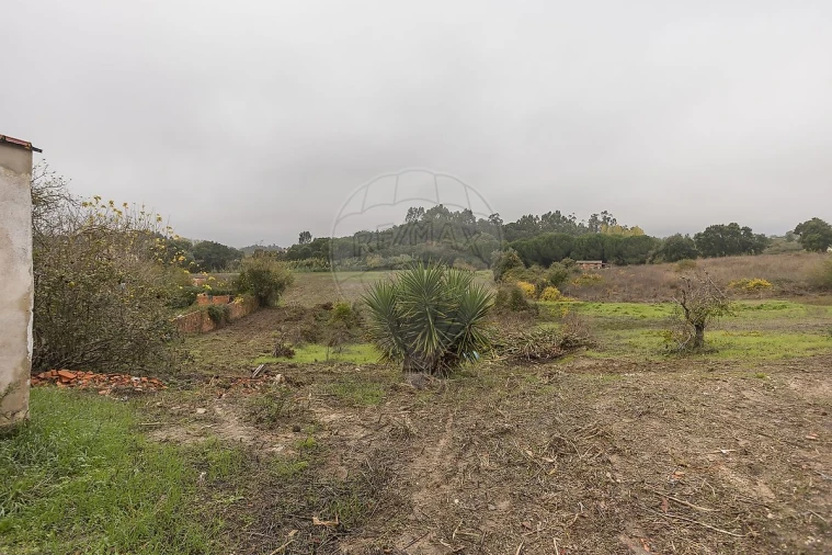 Moradia T2 para Venda em Manique do Intendente, Vila Nova de São Pedro e Maçussa Foto 40