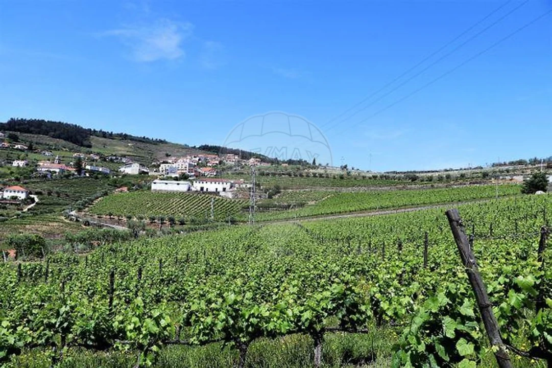 Quinta T4 para Venda em Fontelas Foto 29