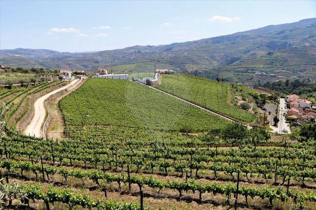 Quinta T4 para Venda em Fontelas Foto 28