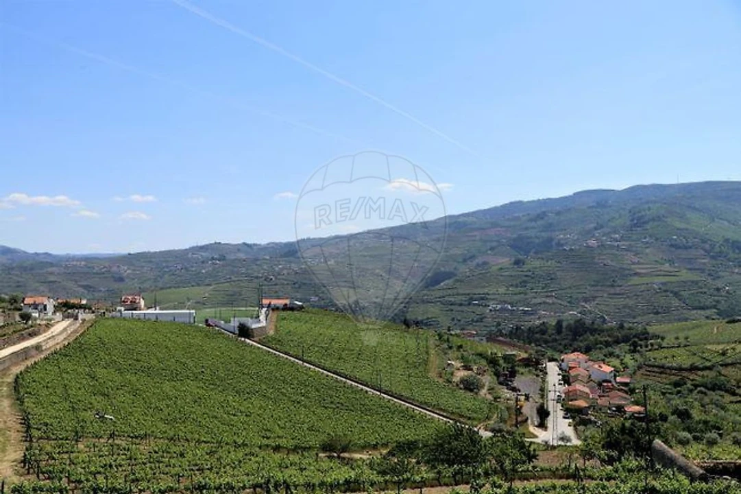 Quinta T4 para Venda em Fontelas Foto 27