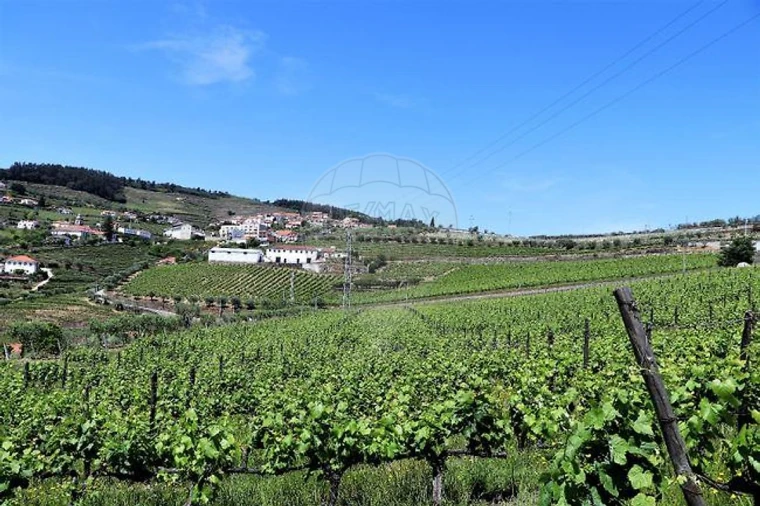 Quinta T4 para Venda em Fontelas Foto 29