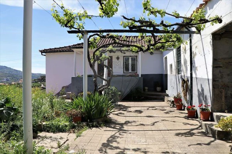 Quinta T4 para Venda em Fontelas Foto 3