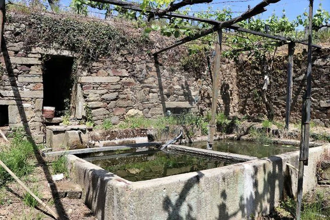 Quinta T4 para Venda em Fontelas Foto 25