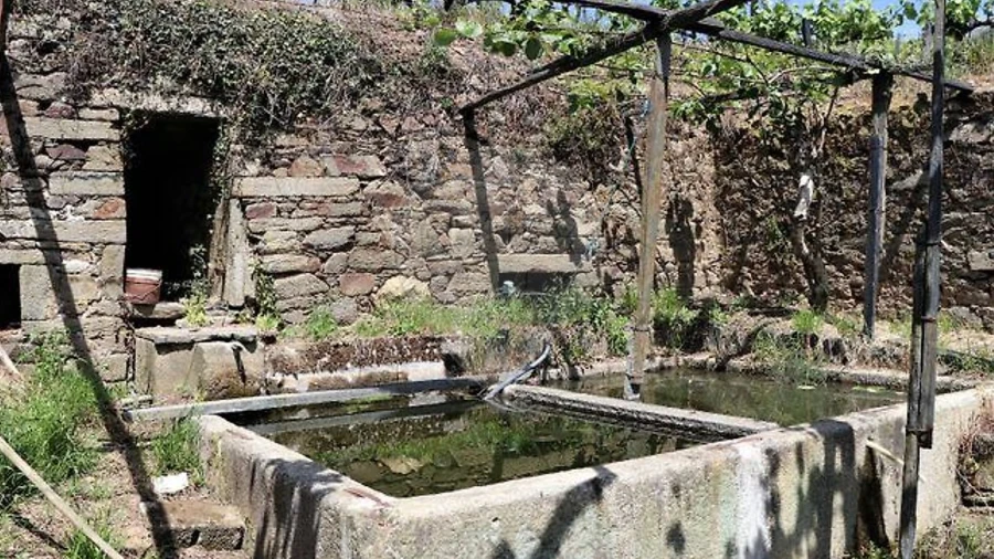 Quinta T4 para Venda em Fontelas
