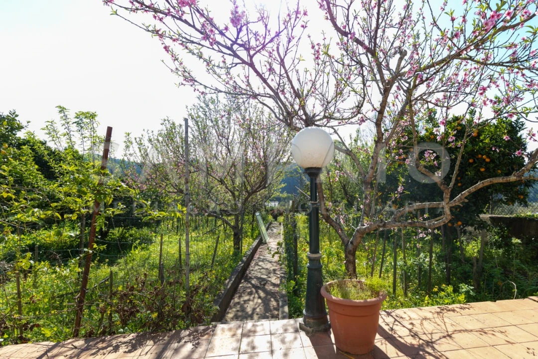 Moradia T3 para Venda em Gondomar (São Cosme), Valbom e Jovim Foto 46