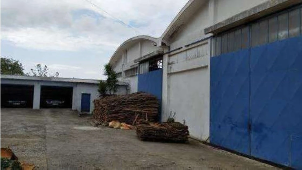 Armazém para Venda em Santa Maria de Lamas Foto 2