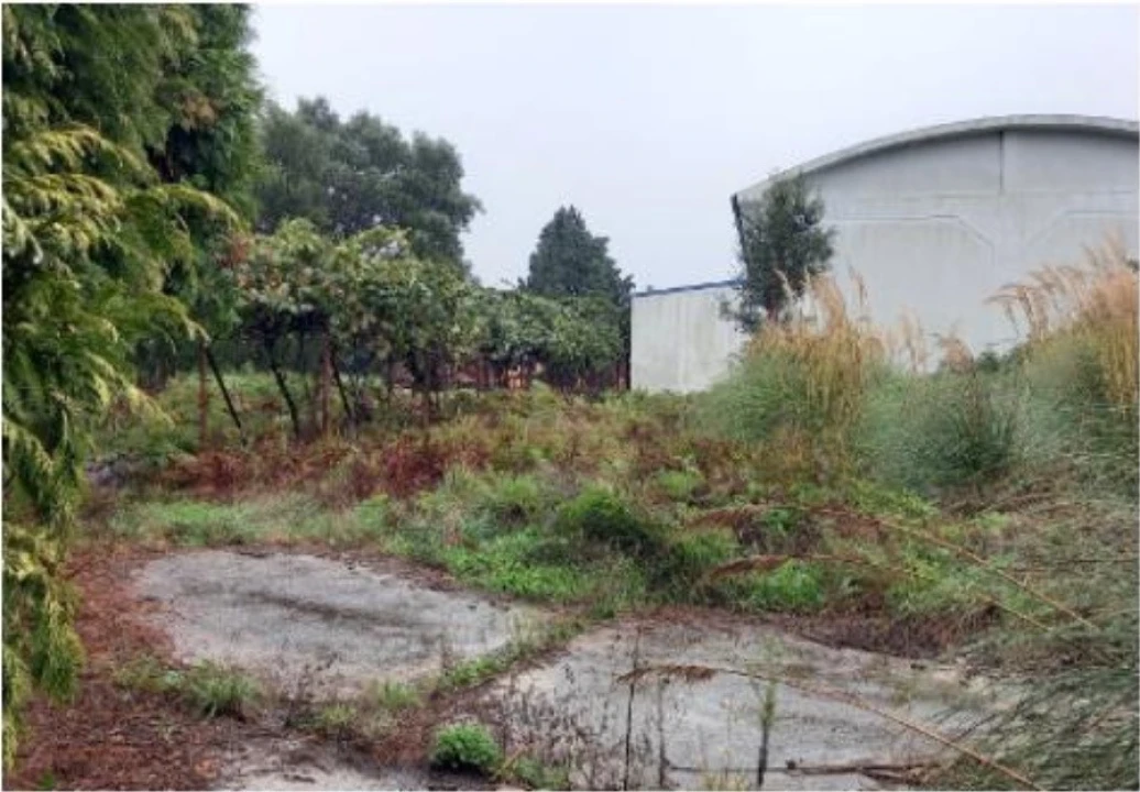 Armazém para Venda em Santa Maria de Lamas Foto 10