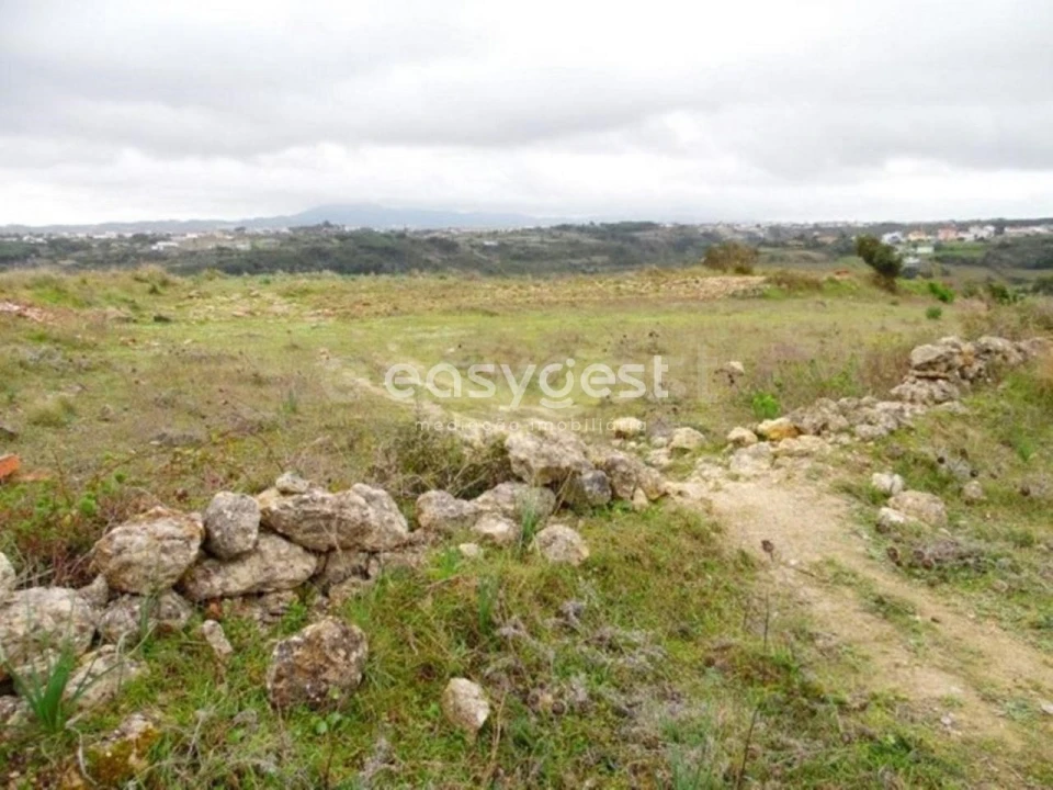 Terreno Agricola ou Rústico para Venda em São João das Lampas e Terrugem Foto 10