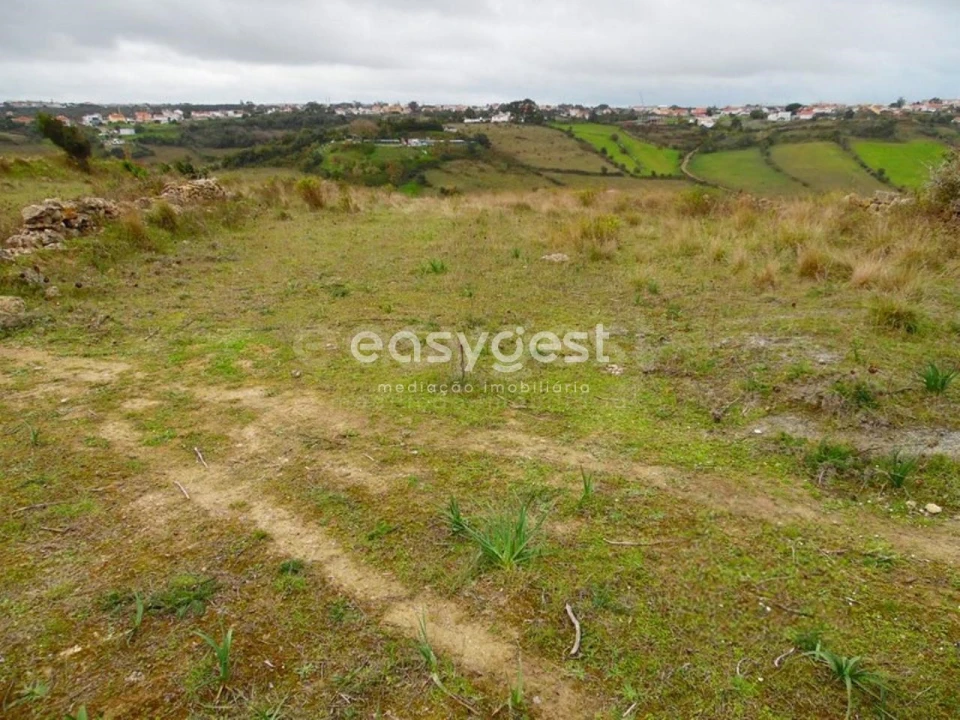 Terreno Agricola ou Rústico para Venda em São João das Lampas e Terrugem Foto 12