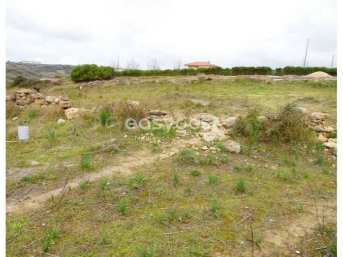 Terreno Agricola ou Rústico para Venda em São João das Lampas e Terrugem Foto 7