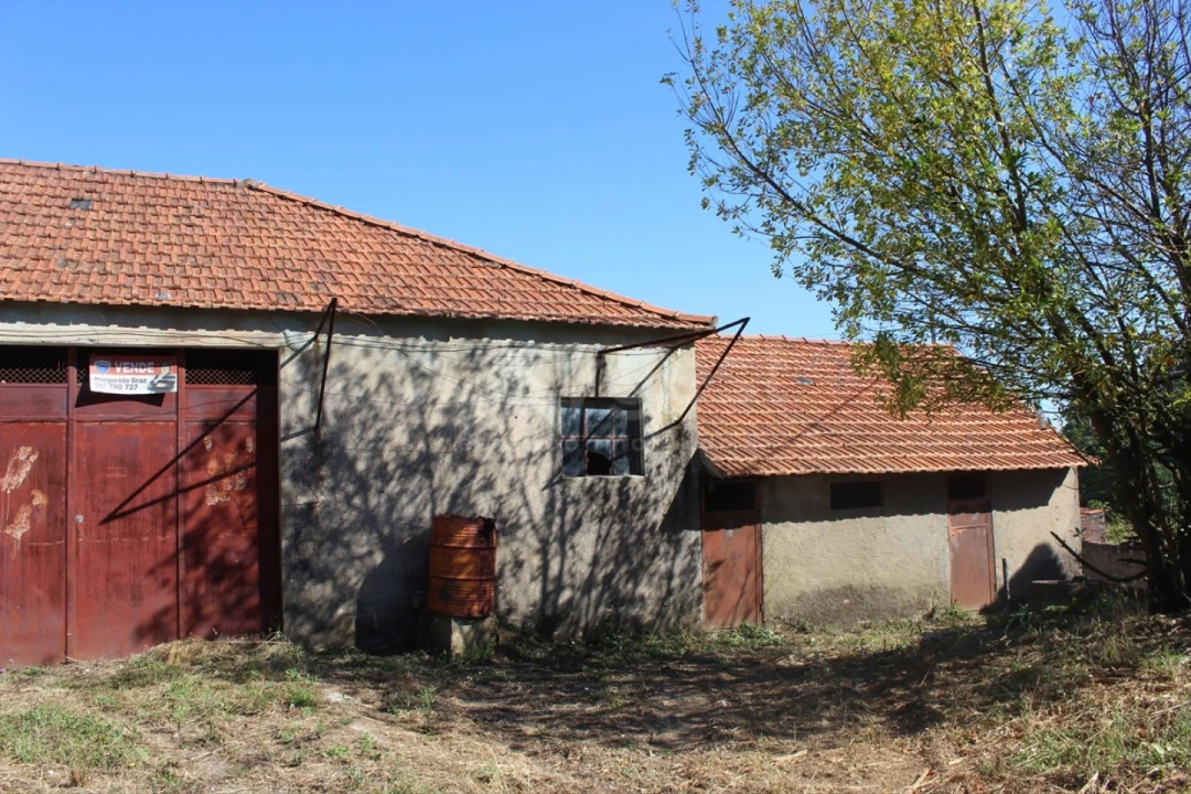 Moradia T5 para Venda em Beco Foto 27