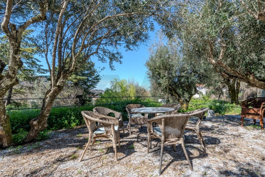 Terreno para Venda em Santa Maria da Devesa Foto 7