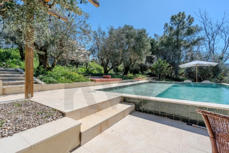 Terreno para Venda em Santa Maria da Devesa Foto 6