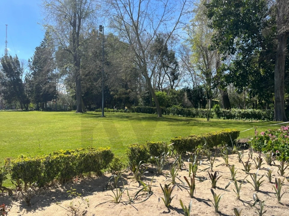 Moradia T3 para Venda em Montijo e Afonsoeiro Foto 31