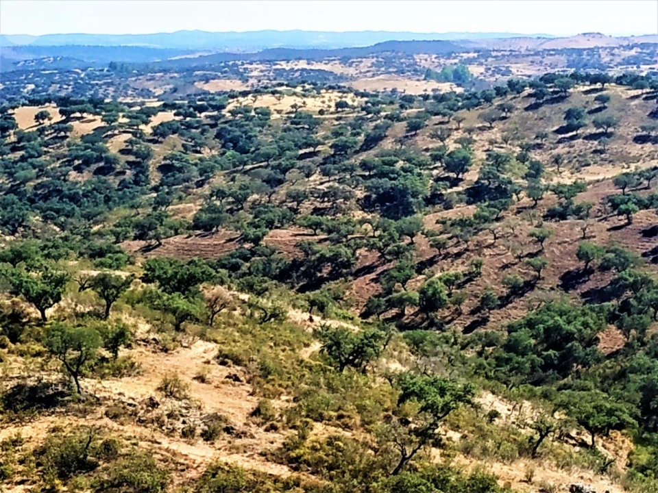 Quinta para Venda em Mertola Foto 2