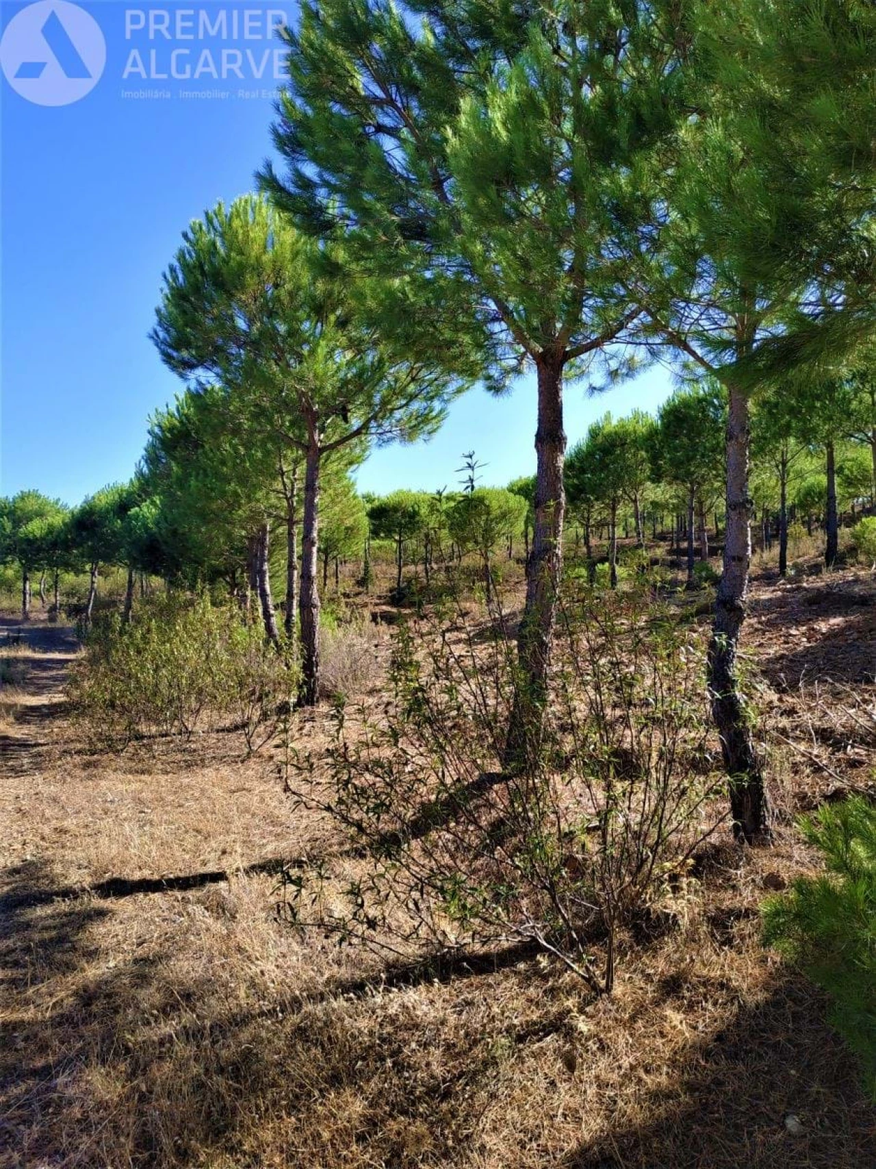 Quinta para Venda em Mertola Foto 13