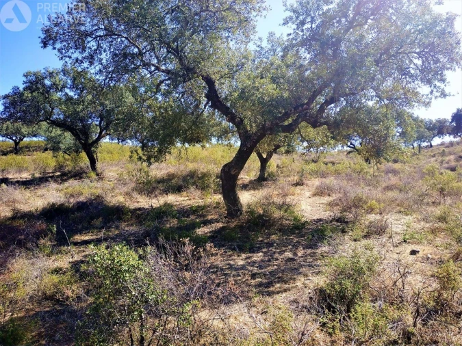 Quinta para Venda em Mertola Foto 4