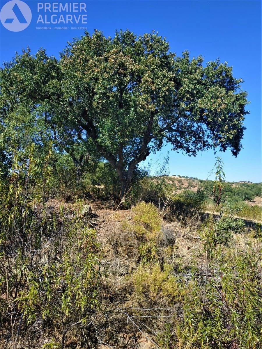 Quinta para Venda em Mertola Foto 9