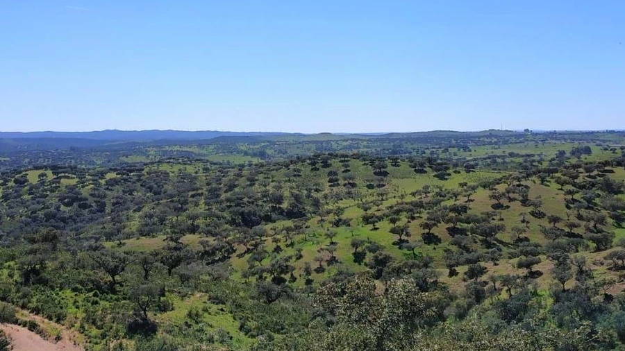 Quinta para Venda em Mertola