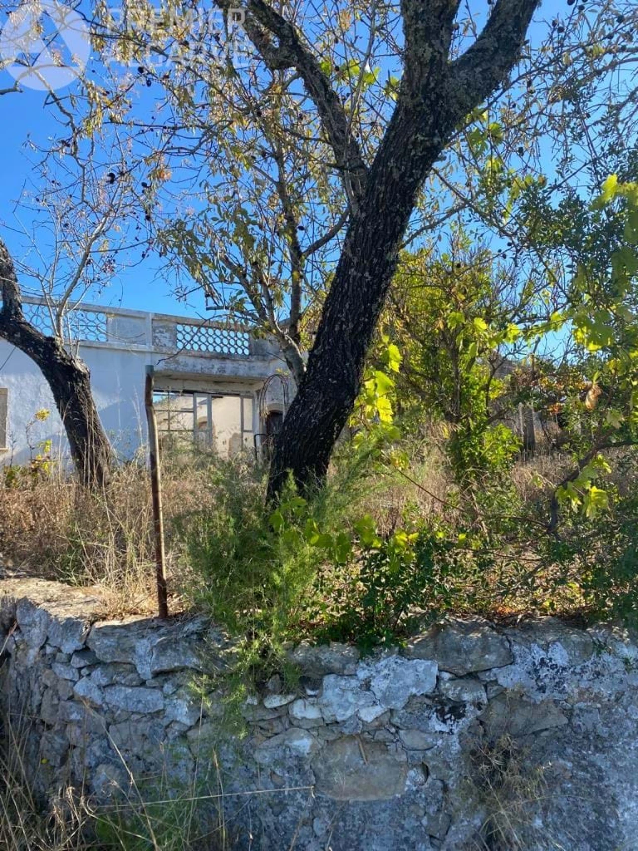 Terreno para Venda em São Brás de Alportel Foto 3