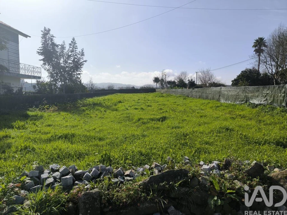 Terreno para Venda em São Romão de Neiva Foto 3