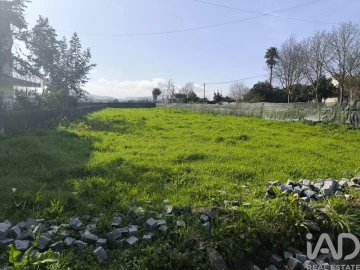 Terreno para Venda em São Romão de Neiva