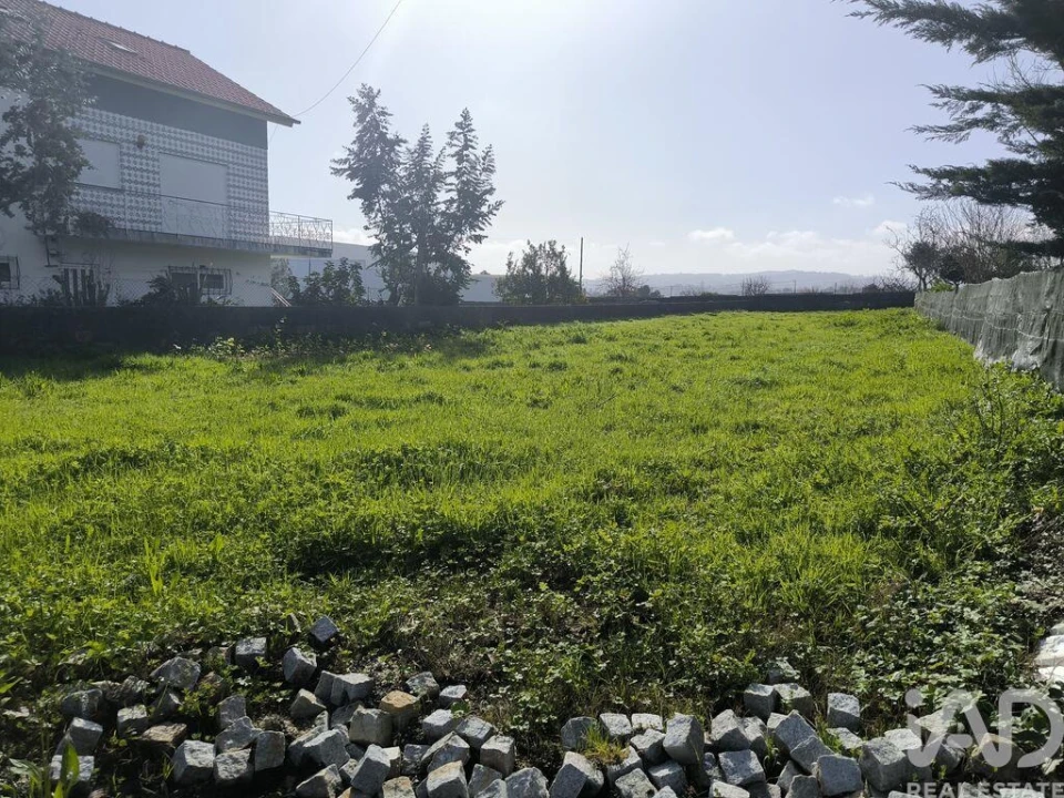 Terreno para Venda em São Romão de Neiva Foto 6