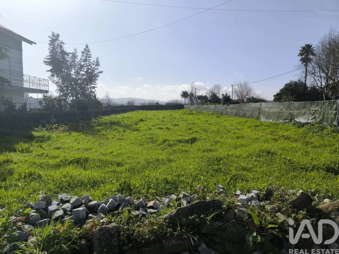 Terreno para Venda em São Romão de Neiva Foto 3