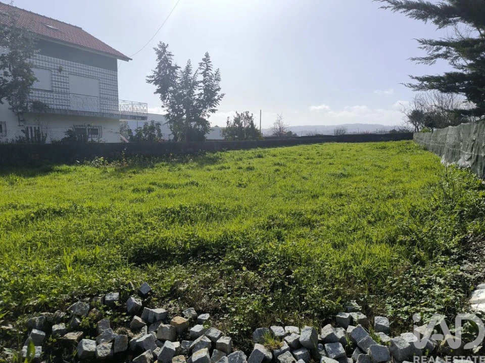 Terreno para Venda em São Romão de Neiva Foto 2