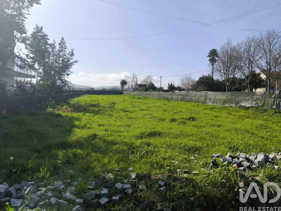 Terreno para Venda em São Romão de Neiva Foto 5