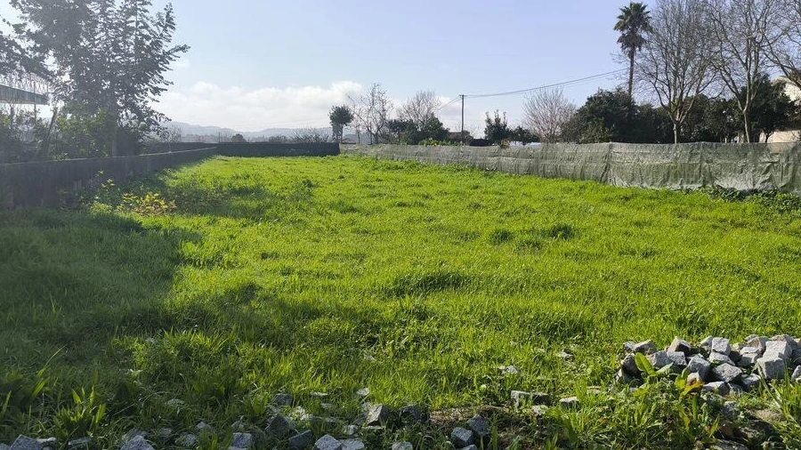 Terreno para Venda em São Romão de Neiva
