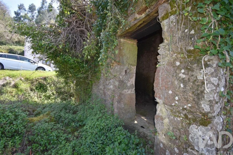 Moradia para Venda em Vila Nova Foto 14