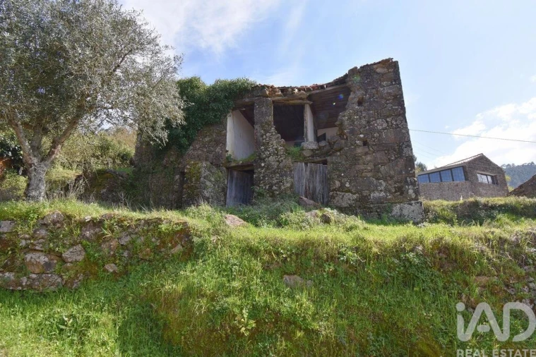 Moradia para Venda em Vila Nova Foto 9