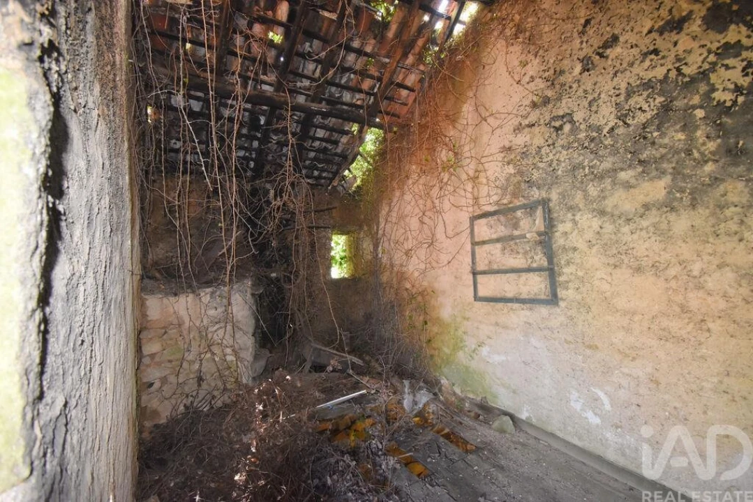 Moradia para Venda em Vila Nova Foto 15