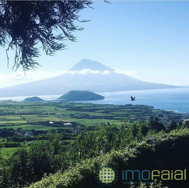 Moradia T3 para Venda em Feteira Foto 2