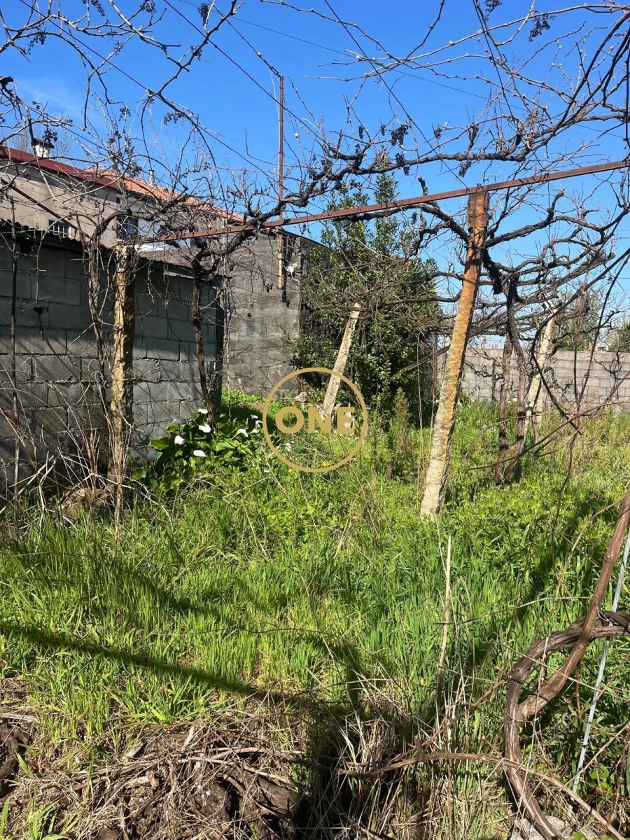 Moradia T3 para Venda em Croca Foto 28