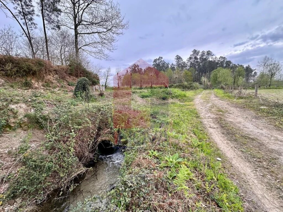 Terreno para Venda em Lanhas Foto 7