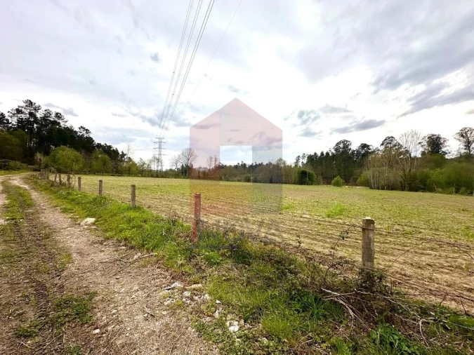 Terreno para Venda em Lanhas Foto 6