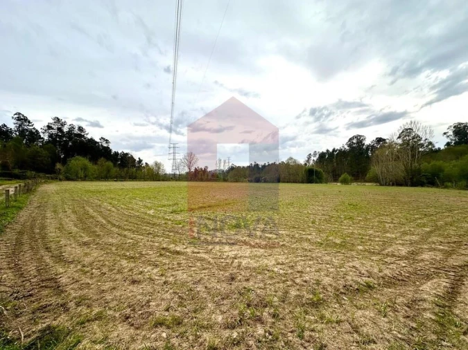 Terreno para Venda em Lanhas Foto 5