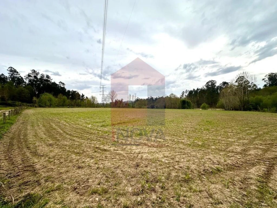 Terreno para Venda em Lanhas Foto 5