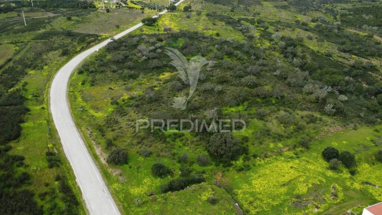 Terreno para Venda em Azinhal Foto 3