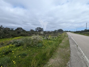 Terreno para Venda em Azinhal