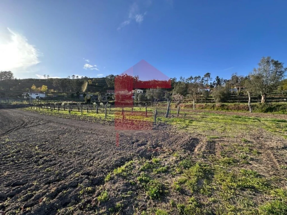 Terreno para Venda em Ponte Foto 28
