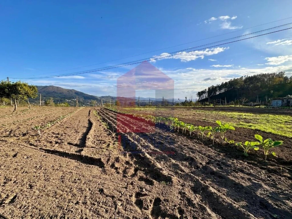 Terreno para Venda em Ponte Foto 8