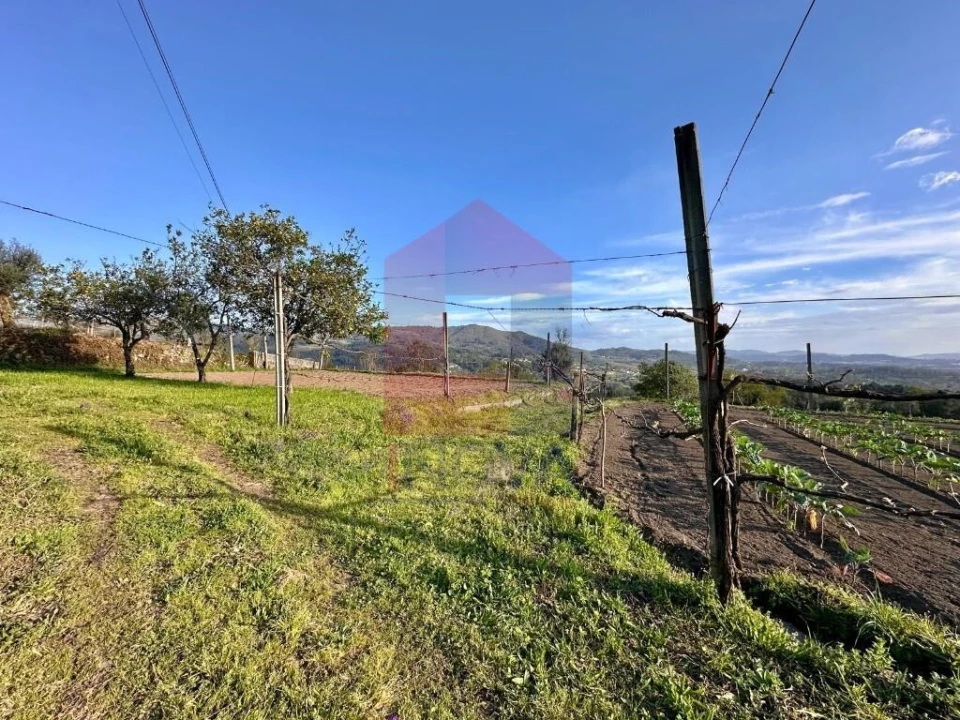 Terreno para Venda em Ponte Foto 4