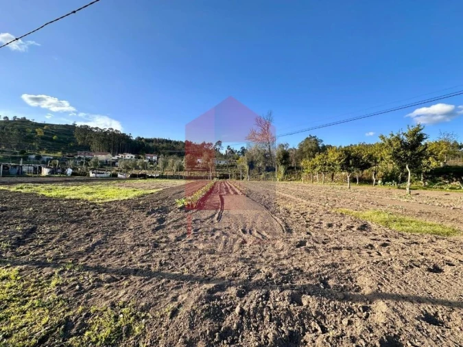 Terreno para Venda em Ponte Foto 21