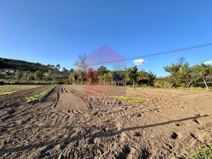 Terreno para Venda em Ponte Foto 22