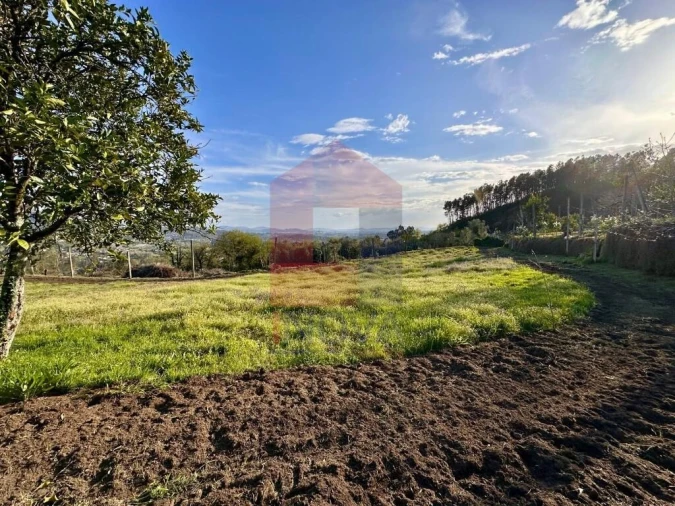 Terreno para Venda em Ponte Foto 20
