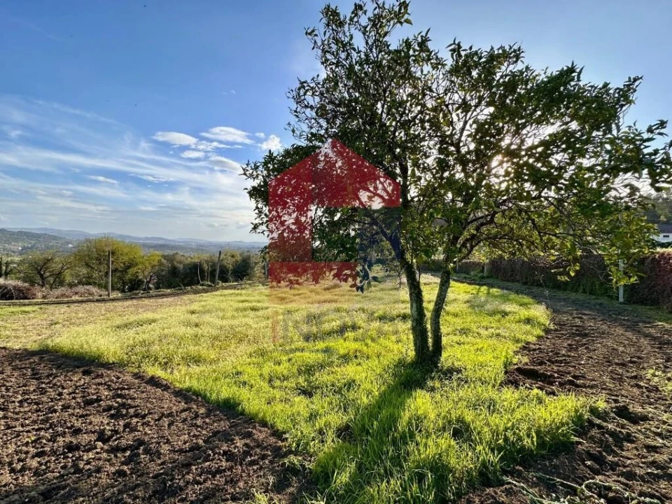 Terreno para Venda em Ponte Foto 18
