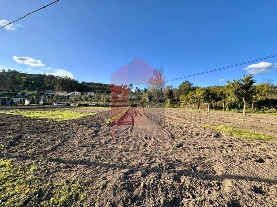 Terreno para Venda em Ponte Foto 7